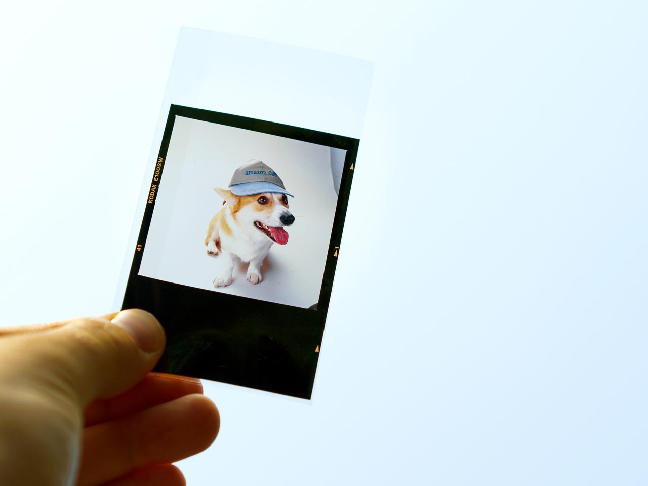 An outstretched hand holds a photographic positive film of a picture of a Welsh corgi dog wearing a ballcap. The photographic film is held in front of and backlit by a brightly lit blue sky.